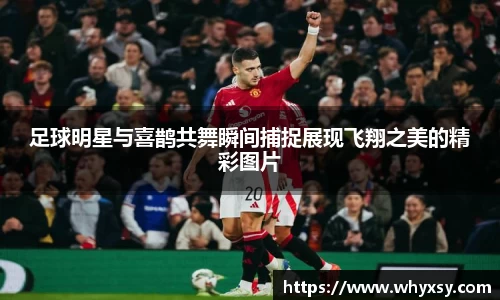 k1体育十年品牌官网