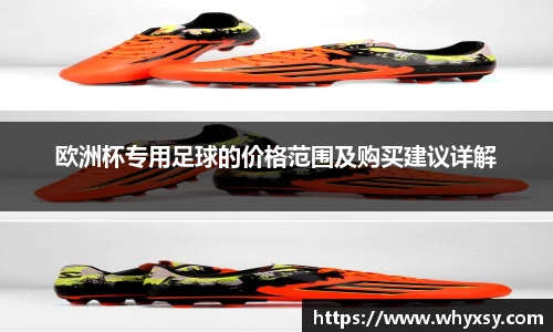 欧洲杯专用足球的价格范围及购买建议详解