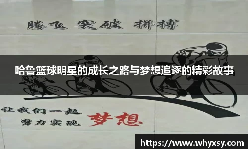 哈鲁篮球明星的成长之路与梦想追逐的精彩故事